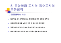 통합학급 특수아동의 이해와 교육-12