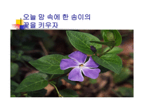 통합학급 특수아동의 이해와 교육-16