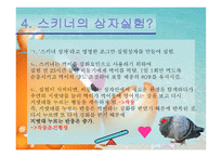 스키너의 교육이론 작동적 조건 형성-5