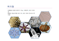 발도르프학교의 수학교수방법론-6