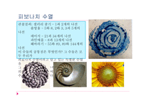 발도르프학교의 수학교수방법론-9