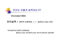영어교육 빠르면 빠를수록 좋은가 제 언어 습득에서의 결정적 시기가 설 논쟁-2