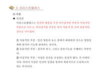 소크라테스 플라톤 아리스토텔레스 생애 사상 교육관-19