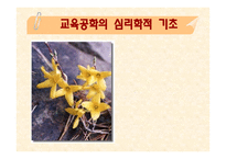 교육공학의 심리학적 기초자료-1