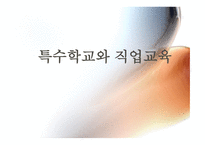 특수학교와 직업교육1-1