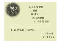 자폐 범주성 장애아 교육-2