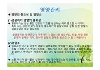 영유아의 건강 영양 안전-14