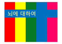 뇌의 이해교육심리학-2