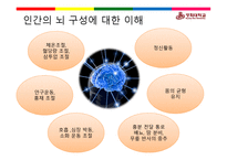 뇌의 이해교육심리학-4