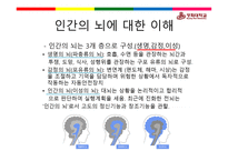 뇌의 이해교육심리학-5