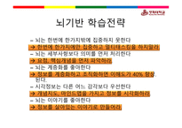 뇌의 이해교육심리학-11
