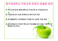 청각장애인 전환교육-13