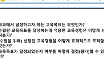 세기 교육과정 레포트-17