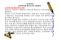 영유아 건강 안전 영양지도-2