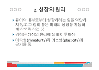 서양의 유아교육철학-9