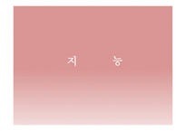 지능의 이해1 레포트-1