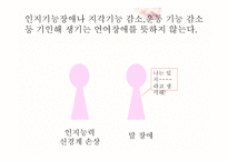 자페성장애아교육 신경 말 언어장애-8