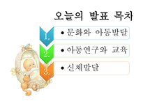 유아 교육론 문화와 아동발달-2