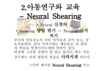 유아 교육론 문화와 아동발달-16
