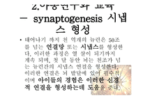 유아 교육론 문화와 아동발달-17
