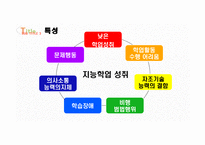 특수교육의 이해 정서 및 행동장애-8