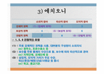 교육조직 행정 레포트-11
