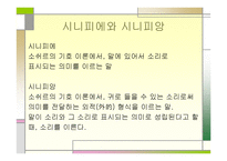 국어의 어휘와 의미-11