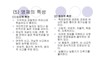 영재 교육 레포트-8