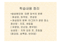 화성암의 생성과정 실험수업지도안-13