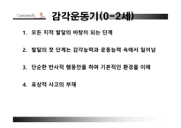 교육심리학 Piaget의 인지발달-9