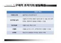 교육심리학 Piaget의 인지발달-17