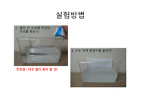 과학과 학습지도 안 교과서 속 빛 관련 실험해 보기-15