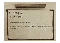교육조직행동조직문화조직풍토 조직건강-14