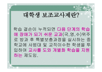 대학생 보조교사의 실태-2