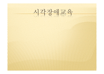 시각장애교육 레포트-3