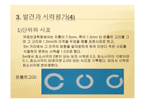 시각장애교육 레포트-13