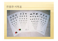 시각장애교육 레포트-15