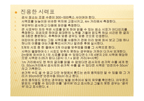 시각장애교육 레포트-16