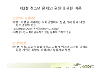 청소년 문제의 원인과 대책 교육사회학1-15