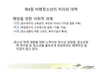 청소년 문제의 원인과 대책 교육사회학1-17
