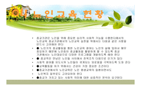 노인교육현황 보고서-16