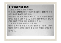 영유아 보육과정-9