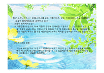 보육 사업 레포트-4