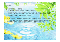 보육 사업 레포트-9