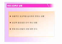 성교육의 실태와 문제점-10