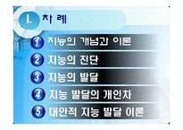 지능 및 기억 발달-3