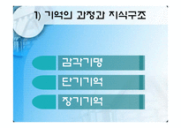 지능 및 기억 발달-11