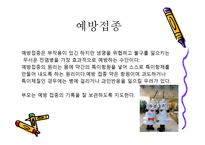 건강교육1 레포트-12