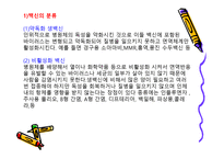 건강교육1 레포트-13