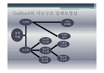 지능의 의미와 지능 이론 및 지능 측정-6